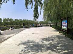 -赵州桥景区