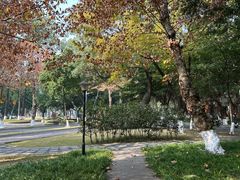 -四川大学(望江校区)