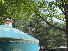 -尚庄度假村·庭台树下·户外烧烤·团建CS·轰趴营地(上庄水库店)