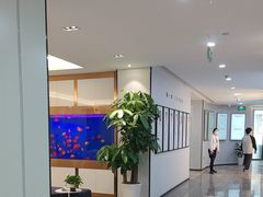 -牙博士口腔品牌连锁(杨浦店)