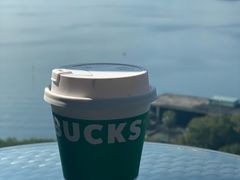 -绿城千岛湖喜来登度假酒店