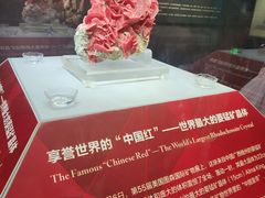 -湖南省地质博物馆