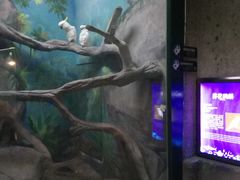 -福州罗源湾海洋世界旅游区