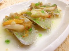 -海港酒楼·平价海鲜·茶点(小公园店)