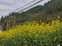 -乌江画廊(彭水苗族土家族自治县)