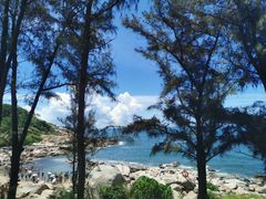 -广东惠东海龟国家级自然保护区