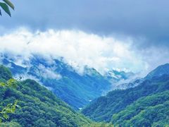 -牛背梁国家森林公园