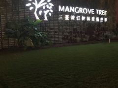 -三亚湾红树林度假世界(木棉酒店)