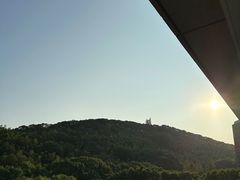 -上海佘山茂御臻品之选酒店(原佘山艾美酒店)