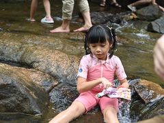 -广州白江湖森林公园