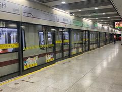 -桃浦新村(地铁站)