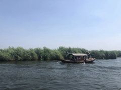 -白洋淀景区