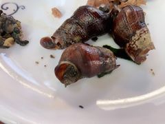 紫苏山坑螺-园林美食城·本土农家菜(杨和镇店)