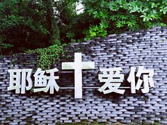 -美丽洲堂