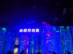 -海合安成都极地海洋公园