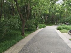 -北坞公园