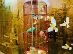 -天津华夏鞋文化博物馆