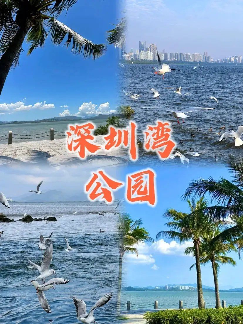 深圳十大免费景点介绍!