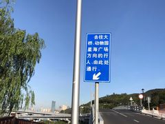 -星海湾跨海大桥