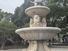 -上海鲜花港