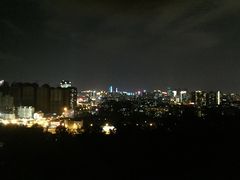 -金鸡山公园