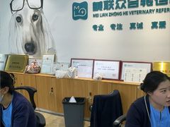 -美联众合动物医院·24h转诊中心