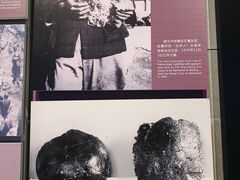 -北京周口店北京人遗址博物馆