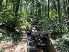 -鲁山国家森林公园