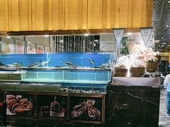 -喜庭海鲜自助(来福士店)