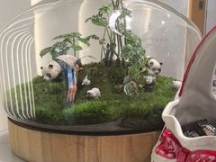 -齐玉齿科JADENTAL