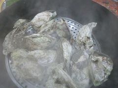 -蚝专家(北滘店)