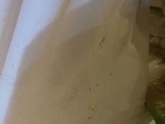 -二荆条·蜀鲜汇城市森林火锅