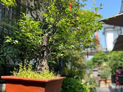 -古韵餐厅(湖畔大学店)
