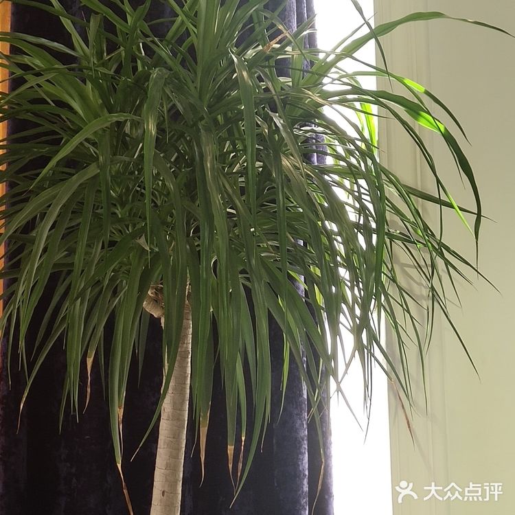 为什么说越优秀的女人越爱去美容院？