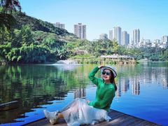 -重庆彩云湖湿地公园