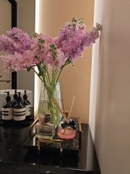 -Fundi张玉珊修身堂·indiba·BTL科技瘦身