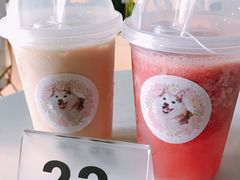 西瓜冰沙-Husky Go! 哈士奇体验馆·宠物咖啡厅狗咖