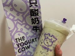 -一只酸奶牛(春熙路店)