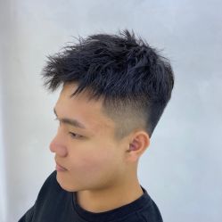 点击看大图 -金棕榈