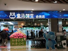 门面-盒马鲜生(宝地店)