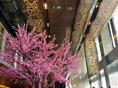 -金轩中餐厅 Jin Xuan(浦东丽思卡尔顿酒店)