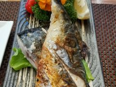 -樱の千渡日式料理·铁板烧•烧鸟(金盛田广场店)