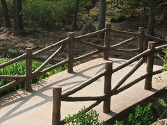 -白水寺森林公园