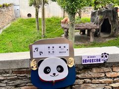 -卧龙中华大熊猫苑神树坪基地