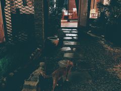 -凡烟外慢生活体验馆