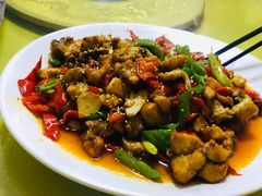 -煲来饱去冷水鱼