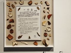 -江苏省美术馆(长江路新馆)