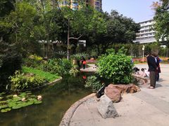-晓港公园
