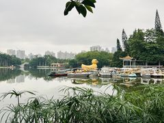 -荔枝公园(福田区)