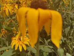 -长春公园(普阳街道)